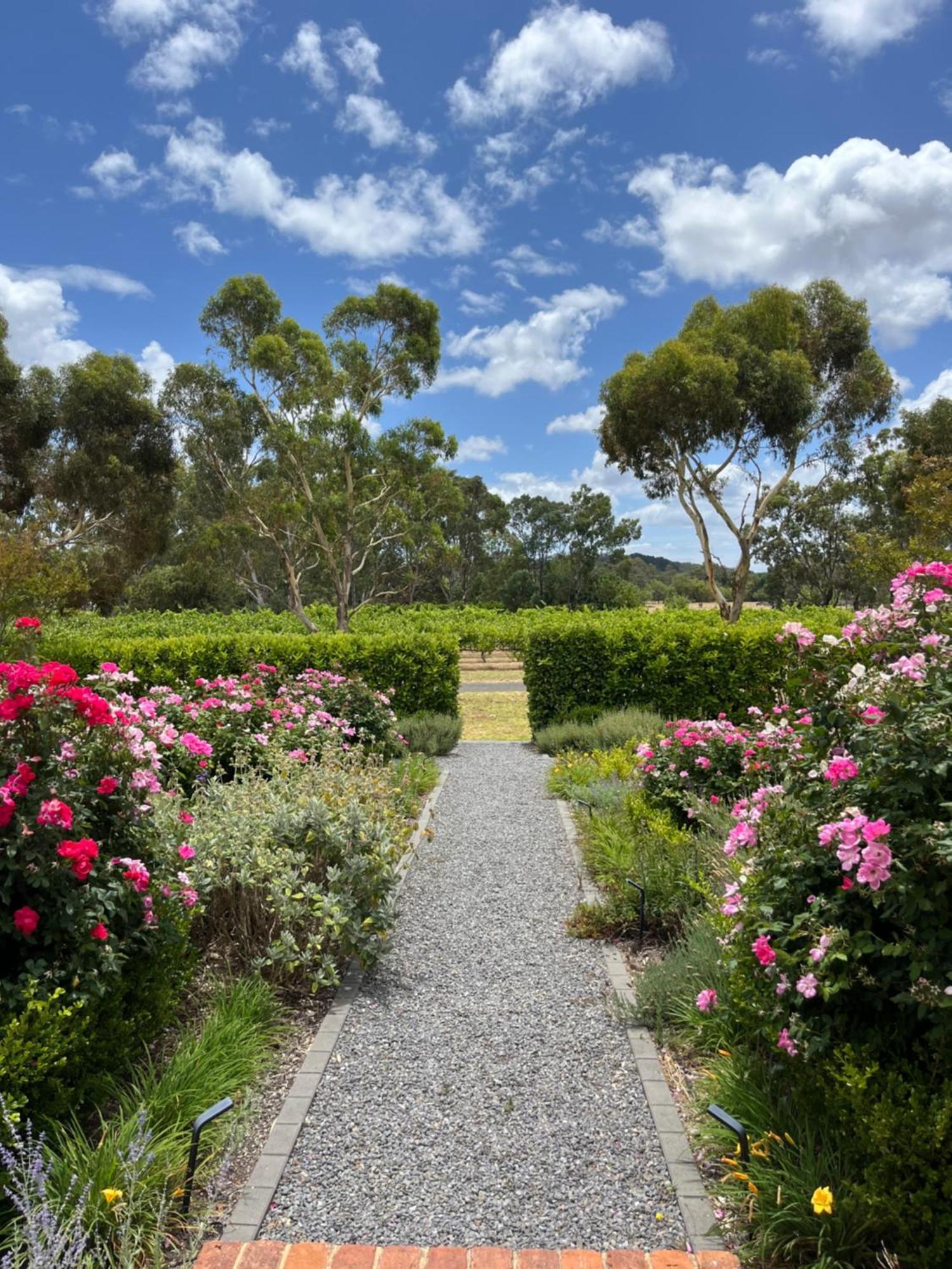 Villa Oxenberry Farm Mclaren Vale Esterno foto