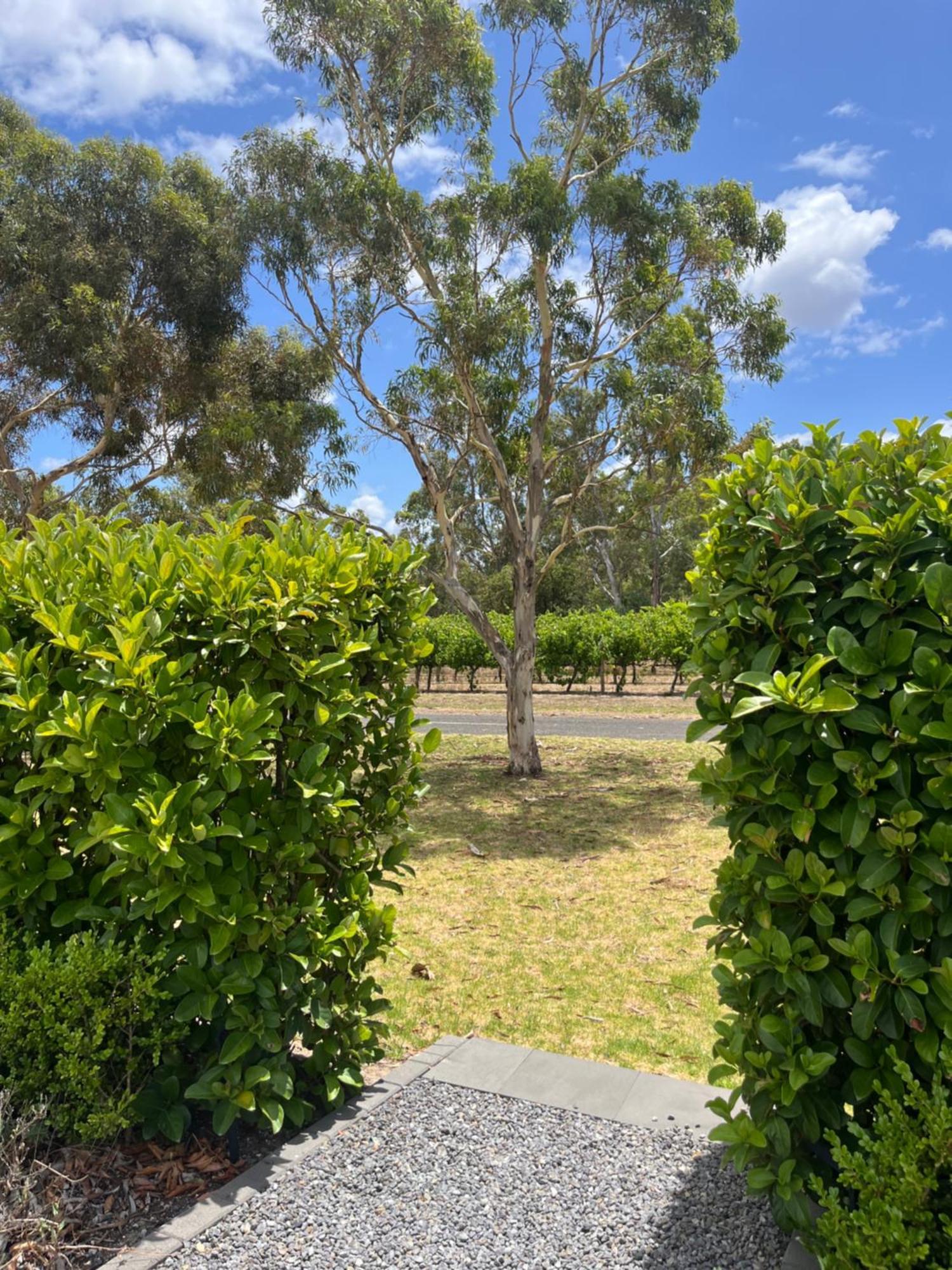 Villa Oxenberry Farm Mclaren Vale Esterno foto